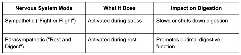 Sympathetic vs. Parasympathetic Nervous System